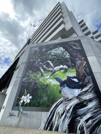 artist mural on apartment building wall. art is of a bird 