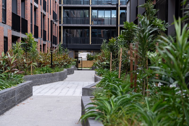 Image of new housing at Bangs Street, Prahran surrounded with plant life